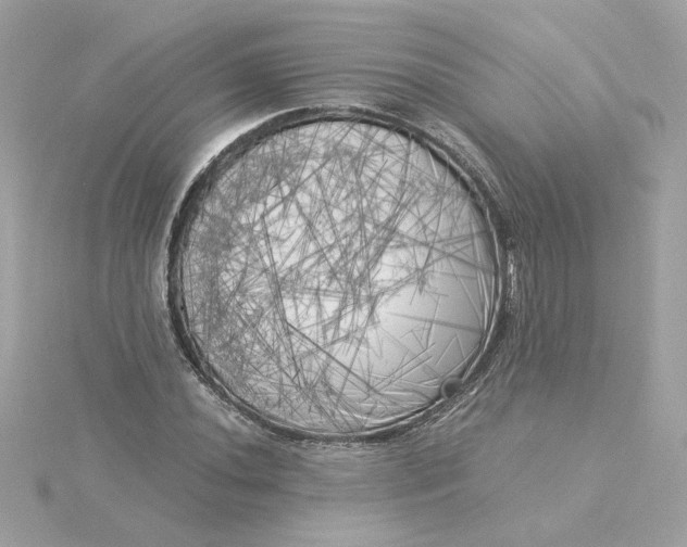 X0000116051020200912041829