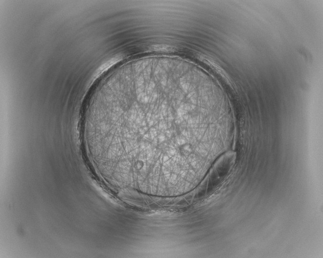 X0000116051026200912041829