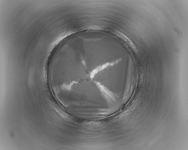 X0000116051027200912041829