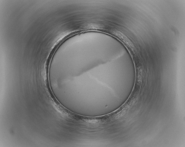 X0000116051031200912041829
