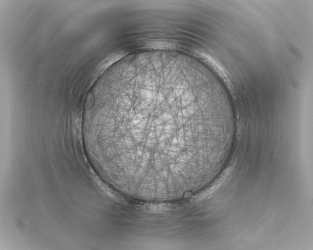 X0000116051041200912041829