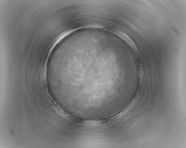 X0000116051044200912041829