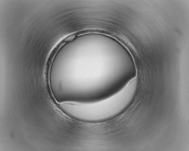 X0000116051068200912041828