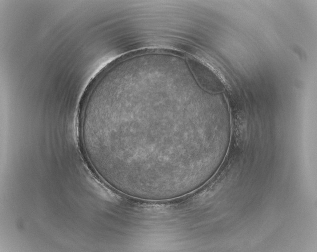 X0000116051076200912041828
