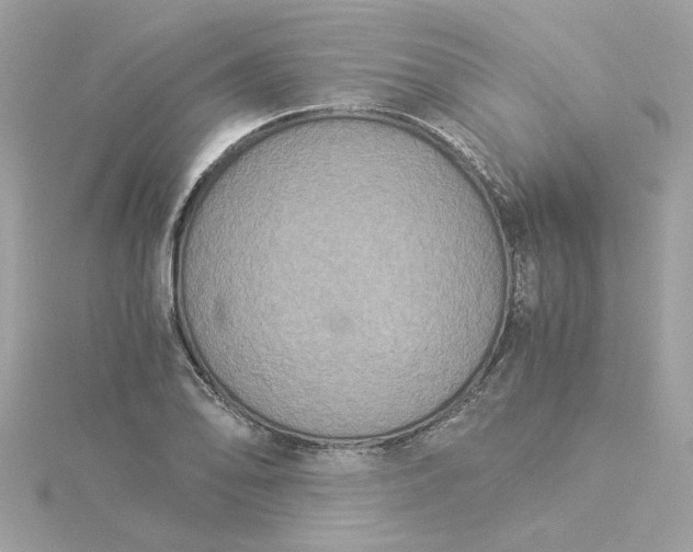 X0000116051078200912041828
