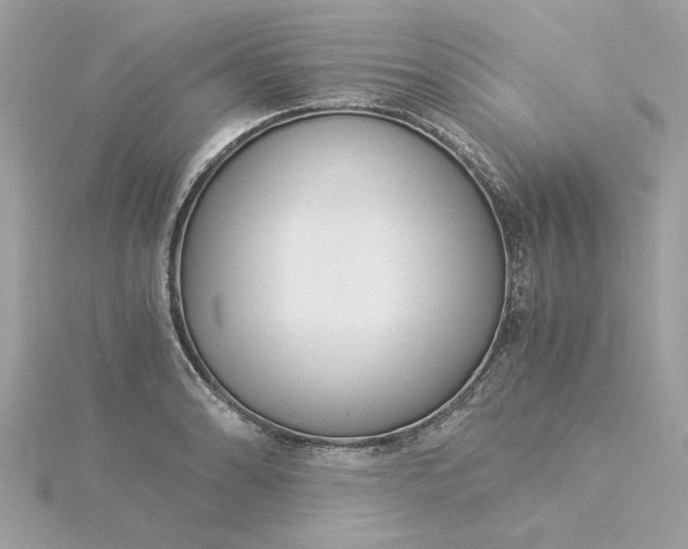 X0000116051086200912041828