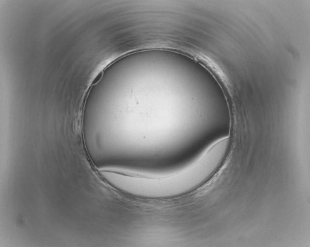 X0000116051097200912041828