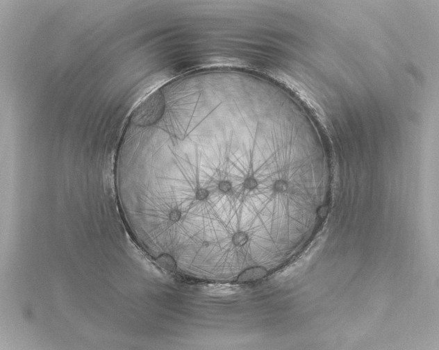 X0000116051137200912041828