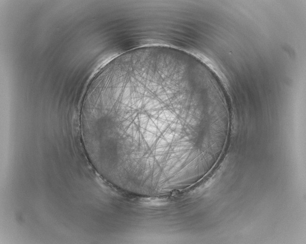 X0000116051145200912041828