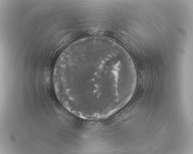 X0000116051154200912041827