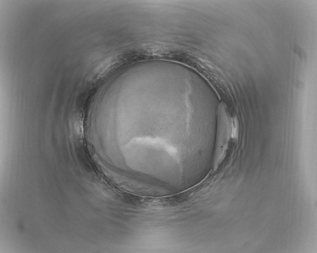 X0000116051155200912041827
