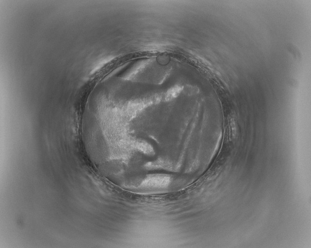 X0000116051158200912041827