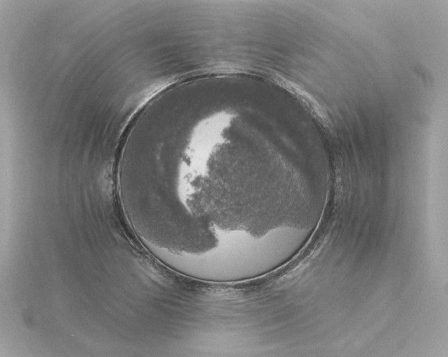 X0000116051170200912041827