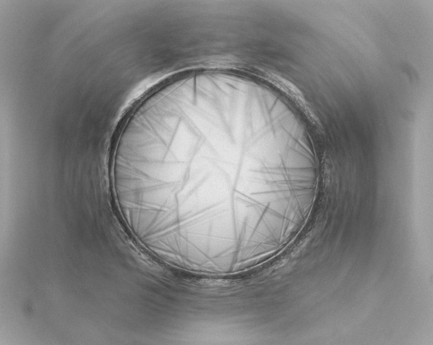 X0000116051176200912041827