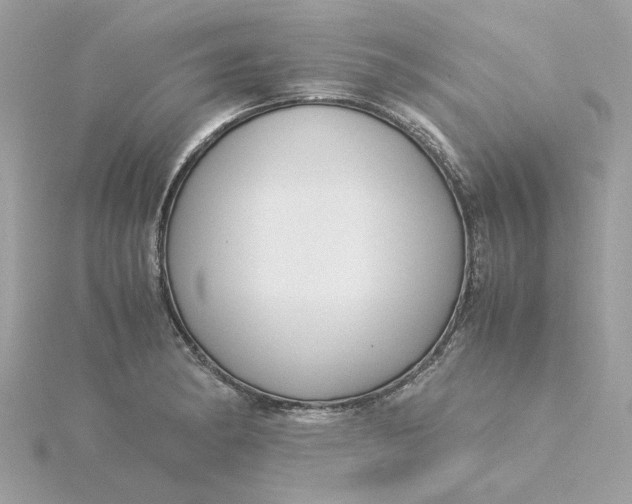 X0000116051182200912041827