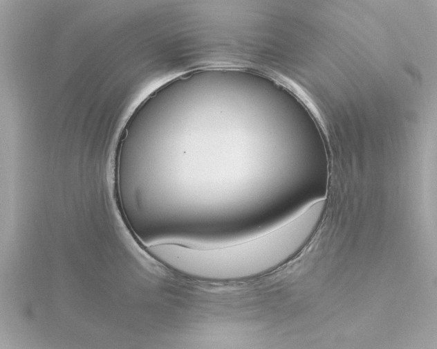 X0000116051195200912041826