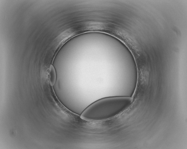 X0000116051225200912041826