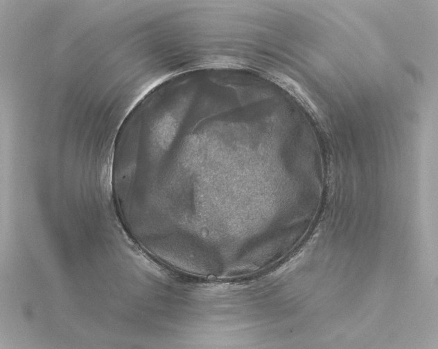 X0000116051228200912041826