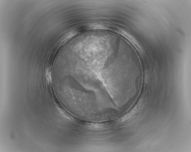 X0000116051241200912041826
