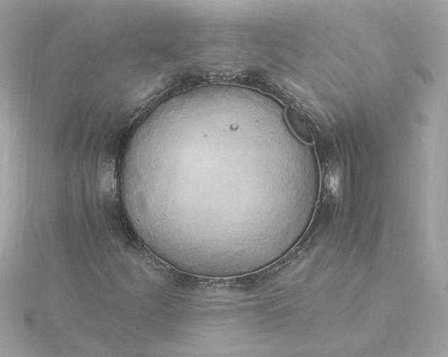 X0000116051252200912041826