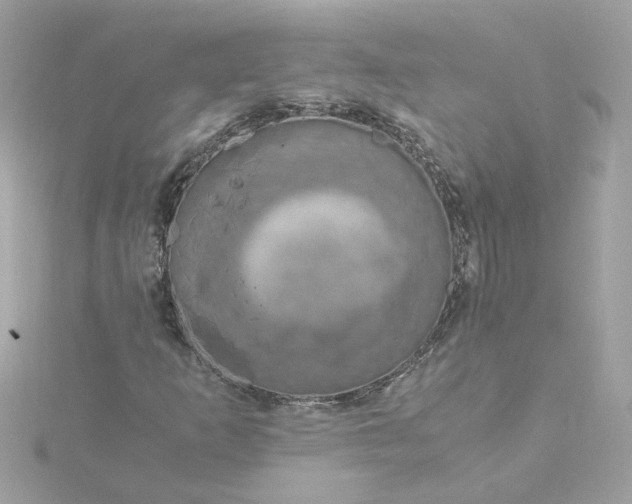 X0000116051253200912041826