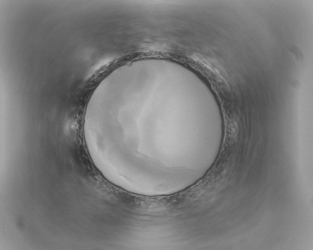 X0000116051254200912041826