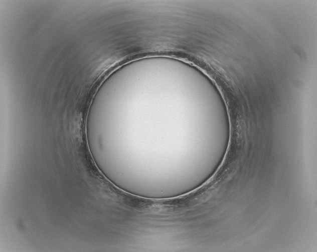 X0000116051265200912041826