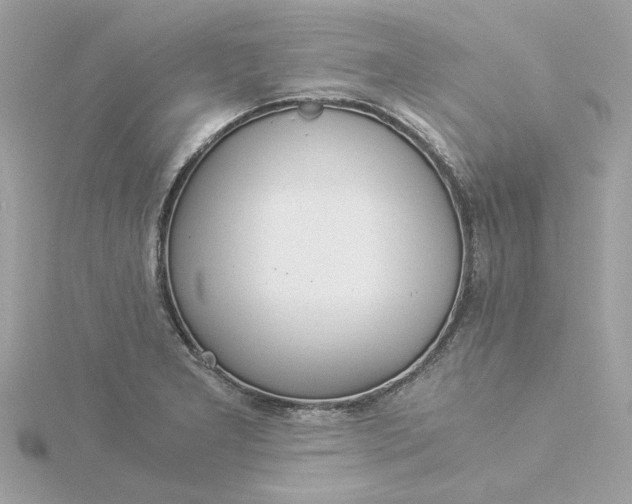 X0000116051277200912041825