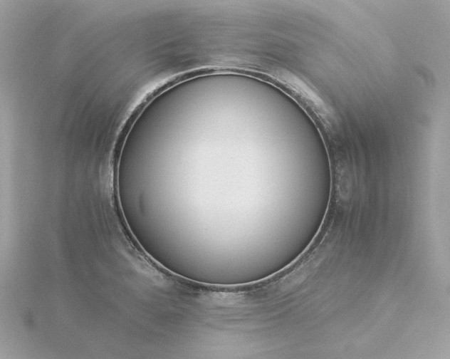 X0000116051280200912041825