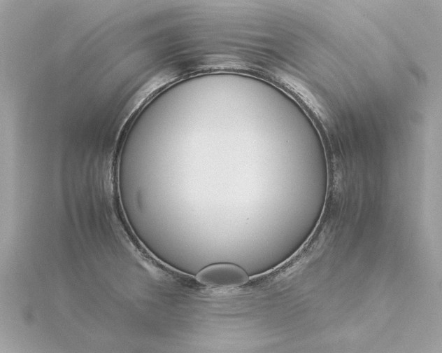 X0000116051282200912041825