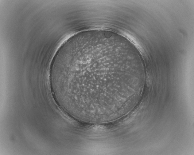 X0000116051283200912041825
