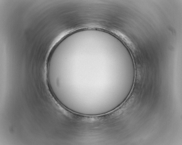 X0000116051286200912041825