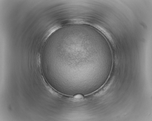 X0000116051289200912041825