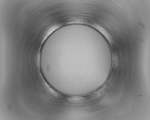 X0000116051290200912041825