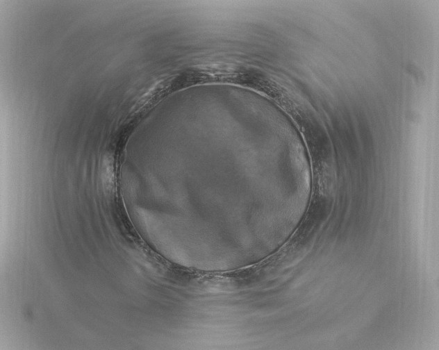 X0000116051298200912041824