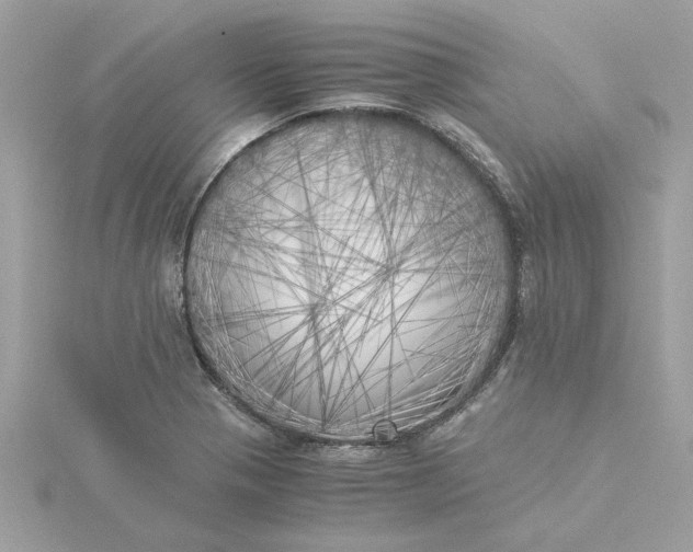 X0000116051321200912041825
