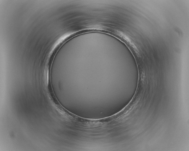 X0000116051323200912041825