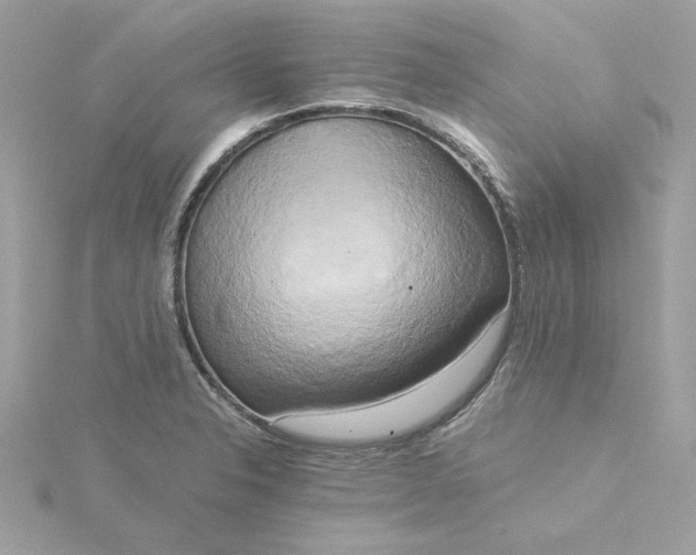 X0000116051326200912041825