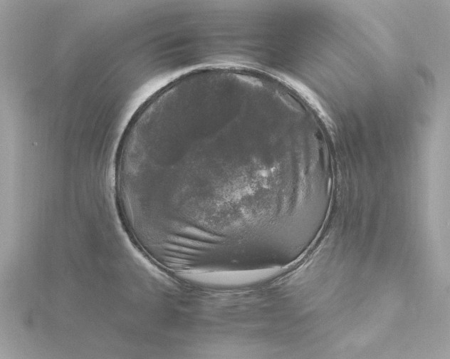 X0000116051335200912041825