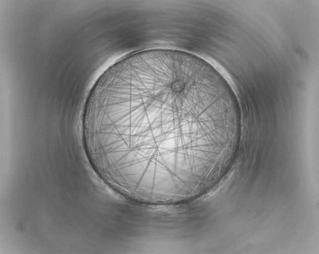 X0000116051341200912041825