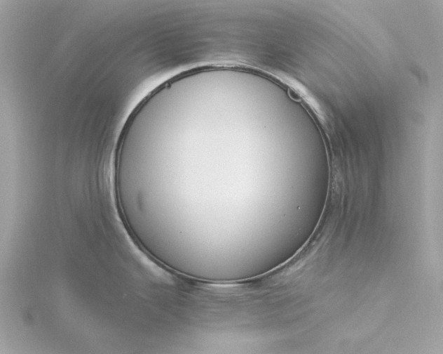 X0000116051343200912041825