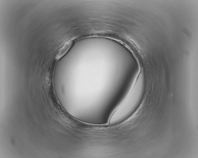 X0000116051353200912041824