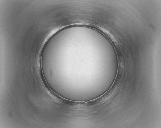 X0000116051375200912041824