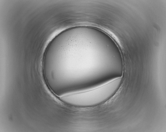 X0000116051381200912041824