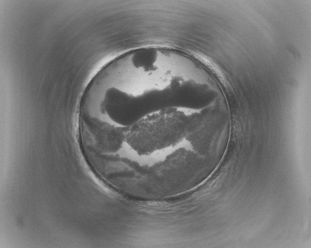 X0000116051383200912041824