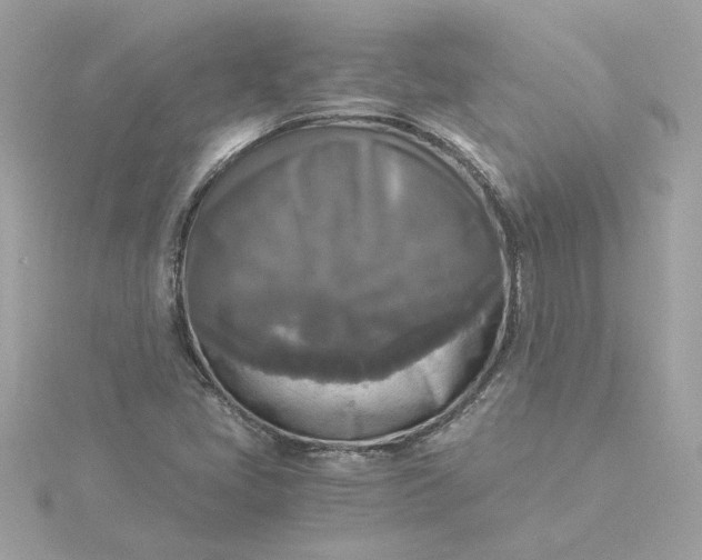X0000116051405200912041823