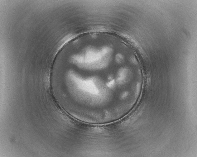X0000116051409200912041823
