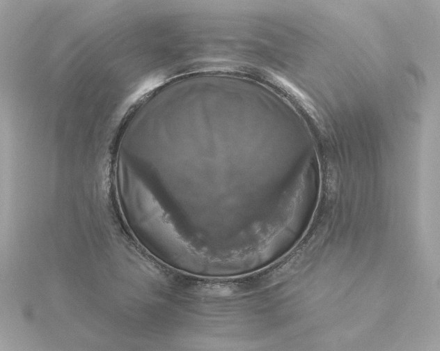 X0000116051411200912041823