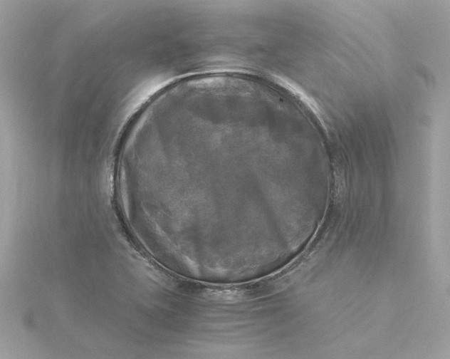 X0000116051415200912041823