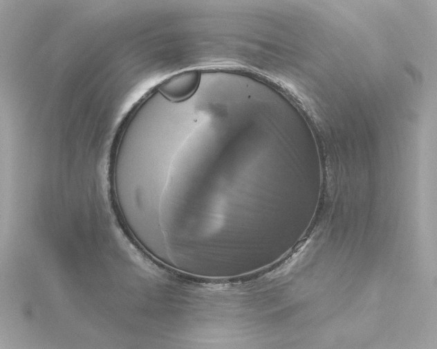 X0000116051422200912041823